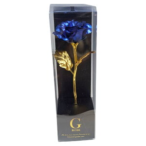 L[t(Q-FLA)  A[eBV t[ S[f[Y S u[  KN Mtg v[g 831058