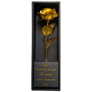 L[t(Q-FLA)  A[eBV t[ S[h[Y ܕt  KN Mtg v[g 772757