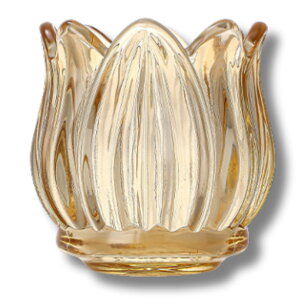 All Trust Lhz_[ KX LhX^h E\N C (F)