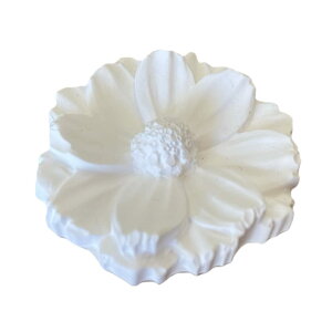 yespressivoz A}Xg[ RXX zCg { nhCh 4.3cm GXvbV[H