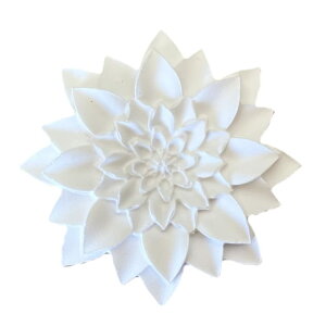 yespressivoz A}Xg[ _A zCg { nhCh 5.2cm GXvbV[H