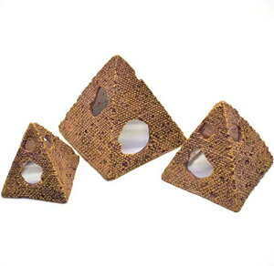 NexxxlyilNX[j ANAE IuWF I[ig ANZT[ Cg  Ŕ W   Ï Ñ̏ p  _a  D vD CD͌^ p  