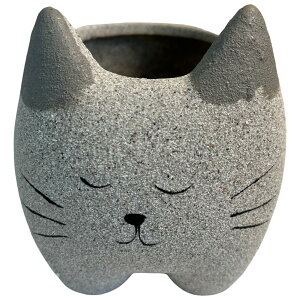 L[t(Q-FLA)   v^[ Lbg A GL lR L 킢  792014