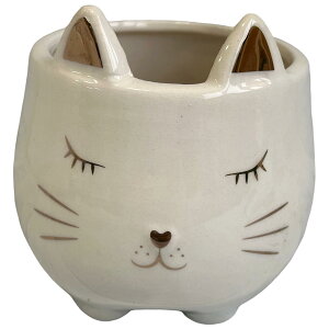 L[t(Q-FLA)   v^[ Lbg A WH lR L 킢  791987