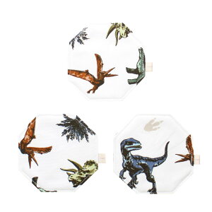 ӂR[X^[ p` 3Zbg kosta1-45-c z  10cm×10cm {    JtF CeA ĂȂ Lb`pi { ԕr~ G Lb` t@ubN 