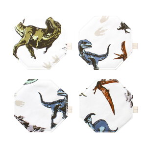 ӂR[X^[ p` 4Zbg kosta1-45-b z  10cm×10cm {    JtF CeA ĂȂ Lb`pi { ԕr~ G Lb` t@ubN 