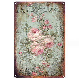 uLŔ K[fjO o KN   AJ G EH[t[ AeB[N G (A)