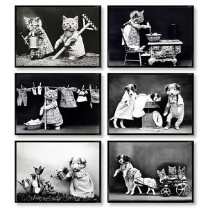 A4|X^[ mN 6_Zbg mg[ CeA  ʐ^ A[g|X^[ Ǐ re[W LE