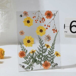 DIY ʓKXʐ^t[ hCt[p z[fR[VfBXvCX^h tHgt[