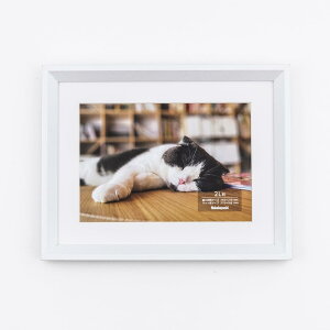 iJoV ؐʐ^z 2L zCg F-SW-118-W