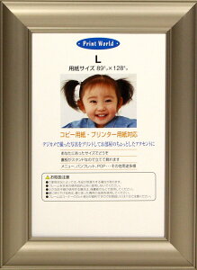 C^ z vplA Cgt[ L A~t[ O[ PA-212-L