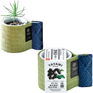 V| t/H ̂Ђ뉀 ܂ߖ~ ~̓Lbg ~j ͔|Lbg  ̕ 7×5cm Ă ͔|Zbg (R) ł傱   ̓ v[g a { G