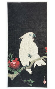 �Í����� �����G ��ʂ�?�� ������� ��� �ўւƂ����� �U�N���ƃI�E��