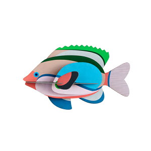  X^WIE[t tFA[Xy{㗝Xz| A[g | G | IuWF | m |  | V | w |  | Iׂ郉bsO | Mtg | STUDIO ROOF | Fairy Wrasse | sr127