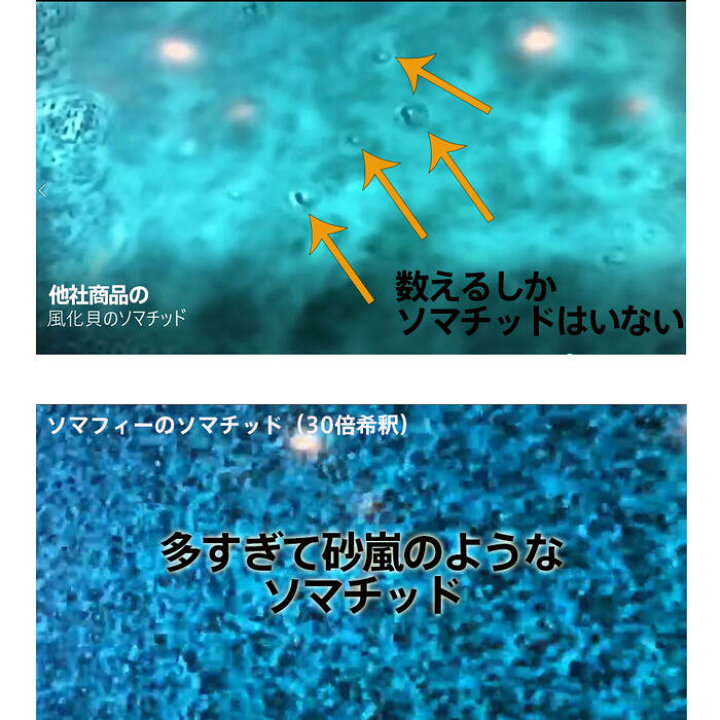 楽天市場】ietomeソマチッド濃縮エッセンス SOMAFI「ソマフフィー  