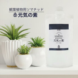 【クーポン配布中！】ソマチッド 観葉植物用 300ml 「元気の素」 ソマチット 古代ソマチッド シリカ ミネラル 天然鉱石抽出液 健康 ケイ素 サプリ テラヘルツ ソルト