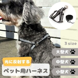  n[lX[hZbg p ߉\  U op ˍ n[lX n[lX qh~ Eh~  U o y ȒP 3TCY ^ ^ ^  킢 