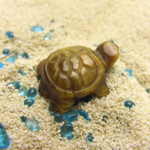 ^CK[AC̏ȋTs^/^/d^/^/MutObY/VR/p[Xg[̒u