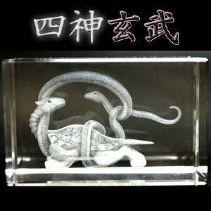  G ̏  u ObY l_ ̍NX^[U[ l_ iԁjykʁz镗̎_ l_ ObY N   x l_  