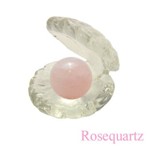 yz12mmʁ[YNH[cz^eKXtyzs//^/͓I/lԊ֌WtObY/VR/p[Xg[Xi IWi