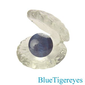 yz12mmʁu[^CK[ACit@RACjz^eKXtyzs/f/lԊ֌Wt@ObY/VR/p[Xg[Xi IWi