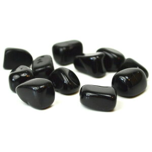 NO-22΃^usIuVfBA t ObY@VR΁@p[Xg[ d^/vX̃GlM[/悯//