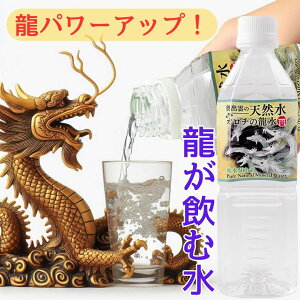 ސ  u  ~lEH[^[ 500ml 24{ VR Y  500 ybg{g  P[X ܂Ƃߔ  ~ o_Y Y Řb Ԃ  ɂ