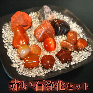 p[Xg[ 򉻃Zbg  Ԃ΁s^̏otĂԏ16_ZbgbhmE/bhWXp[J[lA/bh^CK[AC/LbcAC/uXbg/VR/p