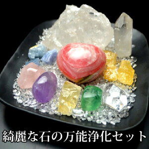 p[Xg[ 򉻃Zbg  YȓVRΏ16_ZbgYőN₩ȃI[}CeB[Ȗ\^򉻃ObYuXbg/VR/΃p[Xg[/ObY̒u//[Y