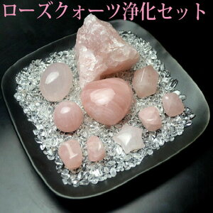 p[Xg[ 򉻃Zbg  [YNH[c12_Zbg[YNI[c/uXbg/VR/p[Xg[/ObY̒u