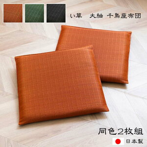 �y��� �璹�������z�c�z���F2���g �R�ۖh�L ���L ���{�� ���������@55cm×55cm