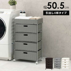 �����h���[ ��50.5cm�@���o��4�t�@�w����s�x�w�k�C���E����E�����@�����ʓr�x