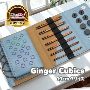 �y�y�V�����L���O1�ʊl���zKnitPro Ginger Cubics 5�C���`(13cm) 7�T�C�Y �t���ւ����֐j�Z�b�g Normal IC �j�b�g�v�� �W���W���[�L���[�r�b�N�X 43301 ���i�� �҂ݕ� ��| �ؐ������r���[���T����