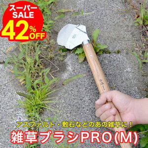 _12/5()20OFFN[|zzI^ ؕ GuVPROiMj No.2516   G | G | _