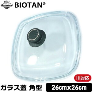 �_�����ȃN�[�|���z�z���I�^ �K�X�g�����b�N�X �o�C�I�^�� �h�[���^�p�C���b�N�X�K���X�W �p�^ 26×26cm L328_0 Gastrolux BIOTAN �p�C���b�N�X �K���X�W �t���C�p�� ��W