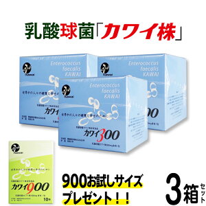 【正規代理店】カワイ300 mg 3箱セット プレゼント付き カワイ900 お試しサイズ 【 カワイ株 乳酸菌 サプリ サプリメント 粉末 乳酸球菌カワイ株含有食品 】