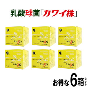 �y���K�㗝�X�z�J���C 80 6���Z�b�g �v���[���g�t�� �J���C900 �������T�C�Y�@�J���C�� ���_�� �T�v�� �T�v�������g ���� ���_���ۃJ���C���ܗL�H�i kawai 80mg �J���C��