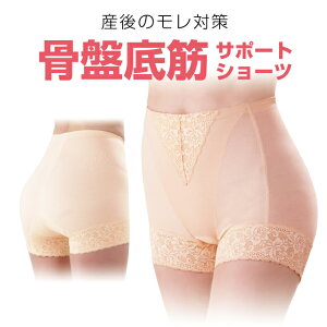 Ւ PA T|[g V[c K[h AR p  AR ARpc  WFk