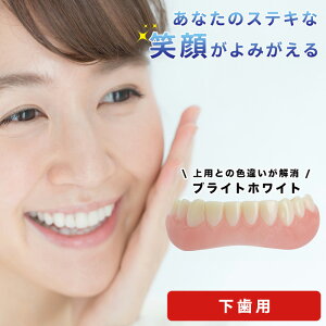 _1͓XSi10OFFN[|I^ CX^gX}C uCg p j p ` ꎕ   R