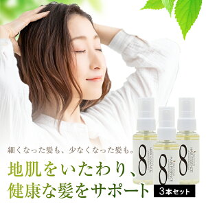 򕔊Oi ANAi`  GbZX 3{Zbg э p pэ PA wAPA XJvPA {э  n RV   ёi wAGbZX уGb