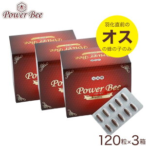 p[r[ (Power Bee Plus) 120JvZ 3Zbg Tv NHi h{⏕Hi I̎q
