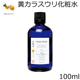 ＼お得なクーポン配布中！／ 黄カラスウリ 化粧水 100ml 山澤清 モア・オーガニック スキンケア オーガニック