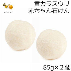 _1͓XSi10OFFN[|I^ y2_ZbgzJXEԂ̐΂ xr[΂ 85g×2_ by RV AEI[KjbN VR100 I[KjbN ΂ \[v