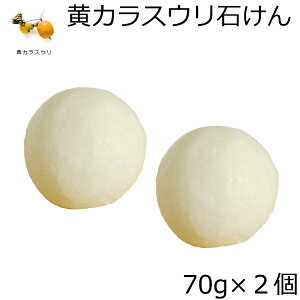 _18()聚X10OFFN[|I^ y2ZbgzJXE ΂ 70g×2_ by RV AEI[KjbN VR100 I[KjbN \[v ΂