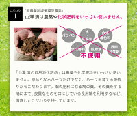 お得なクーポン配布中ローズヒップ化粧水by山澤清モア・オーガニック100mlローズヒップ化粧水シルク配合無添加敏感肌シルク配合保湿化粧水美白化粧品スキンケアオーガニックナチュラル白樺自然派化粧品国産手作りてづくり