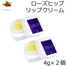 【2個セット】ローズヒップ リップクリーム 4g×2 山澤清 モア・オーガニック