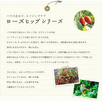 お得なクーポン配布中ローズヒップ化粧水by山澤清モア・オーガニック100mlローズヒップ化粧水シルク配合無添加敏感肌シルク配合保湿化粧水美白化粧品スキンケアオーガニックナチュラル白樺無水自然派化粧品国産手作りてづくり