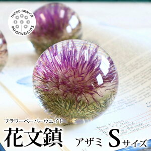 _ȃN[|zzI^ ntHhOW HafodGrange ԕ t[y[p[EGCg AU~ Thistle HG02S