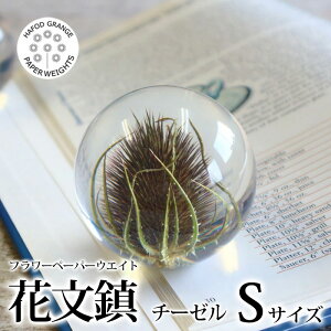 _ȃN[|zzI^ ntHhOW HafodGrange ԕ t[y[p[EGCg S `[[ VJLOT Ijixi HG03S