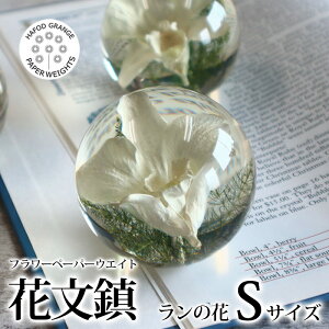 _9/5()20OFFN[|zzI^ ntHhOW HafodGrange ԕ t[y[p[EGCg ̂ HG25S